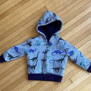 2T dinosaur hoodie